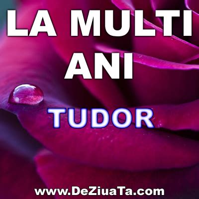 la multi ani tudor imagini|Top 10 poze de la multi ani ideas and inspiration .